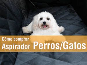 comprar-aspirador-mascotas