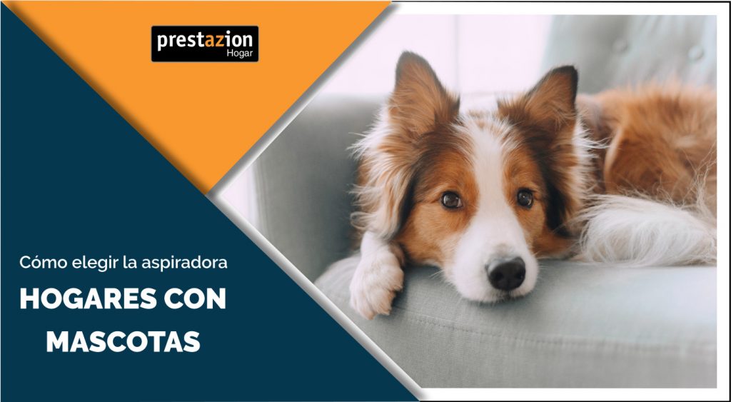 mejores aspiradoras para casas con mascotas que sueltan pelo