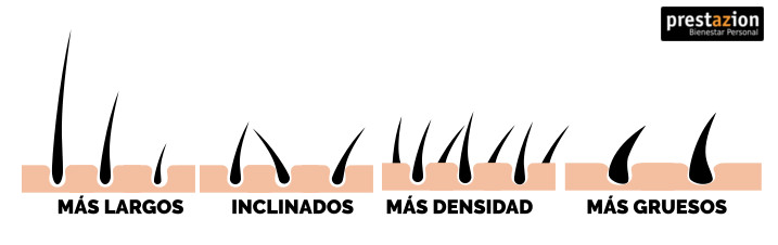 tipos de pelo de un a barba masculina