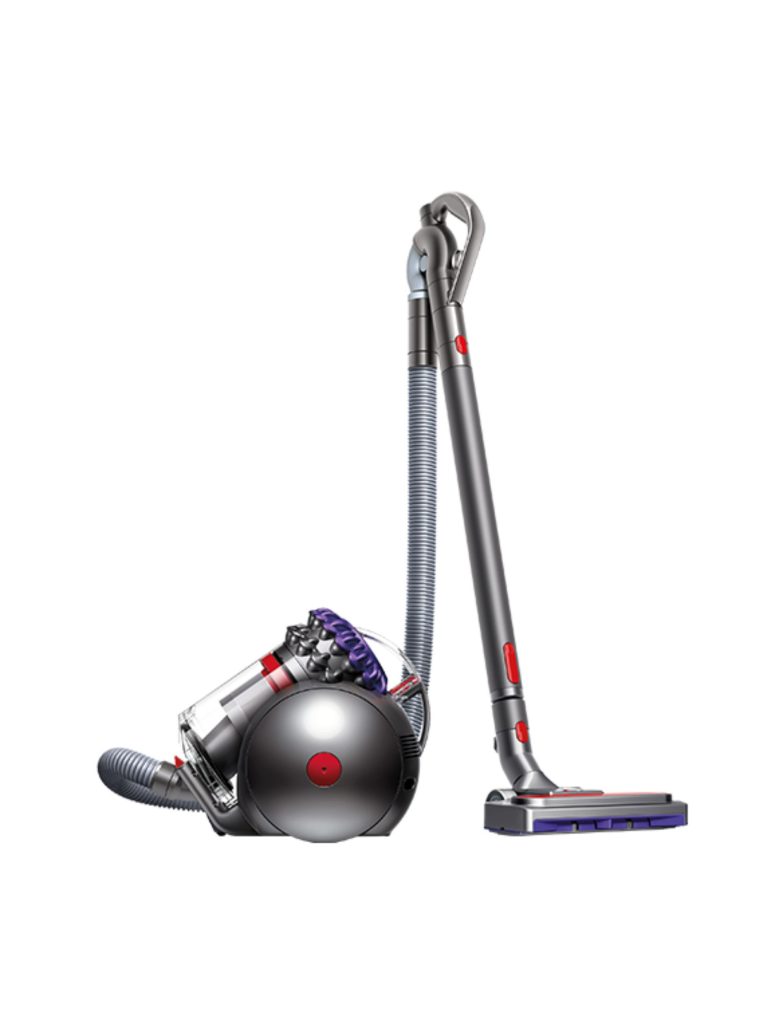 Dyson Big Ball Parquet 2 precio